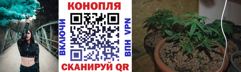 Бошки Шишки SATIVA & INDICA купить наркоту shop клад Руза hydra ссылка